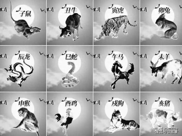 十二生肖分几种属相图片（十二生肖分几种属相图片大全一次看）