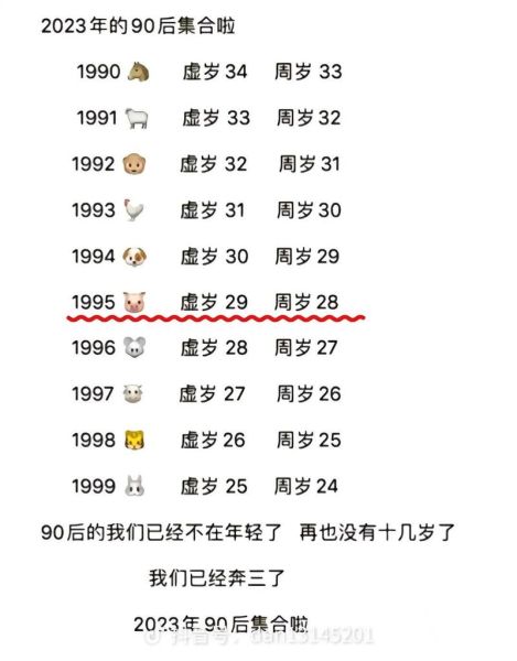 1995属相属什么生肖(95年出生属什么生肖?新手一看就懂)