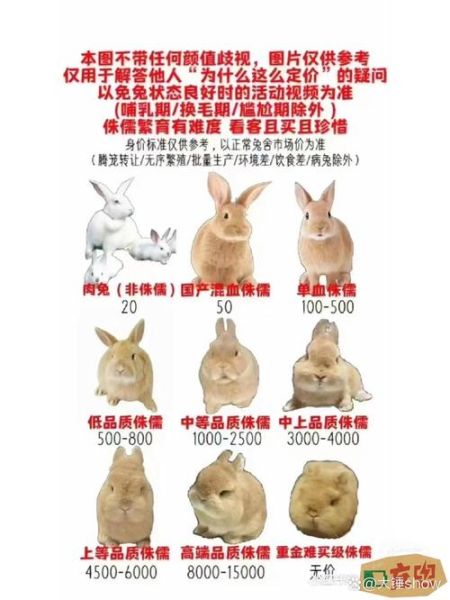 十二生肖属相小兔（十二生肖属相小兔性格优缺点）