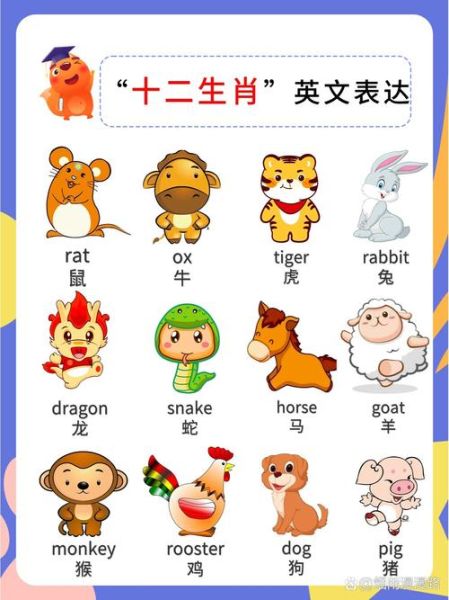 生肖属相英文表达(生肖英文怎么说?完整攻略来了)