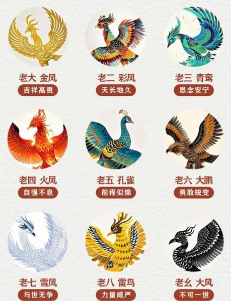 凤的属相是什么生肖（凤的属相是什么生肖？一看秒懂）