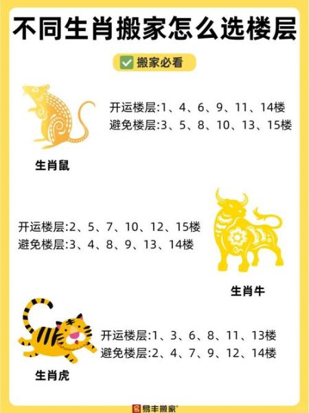 生肖属相与楼层风水