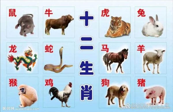 生肖属相指的是（生肖属相到底指什么）