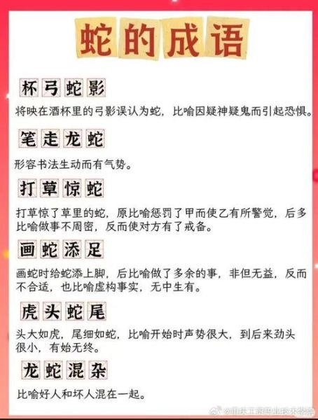 生肖蛇最聪明的属相（生肖蛇最聪明的属相排名表真相）