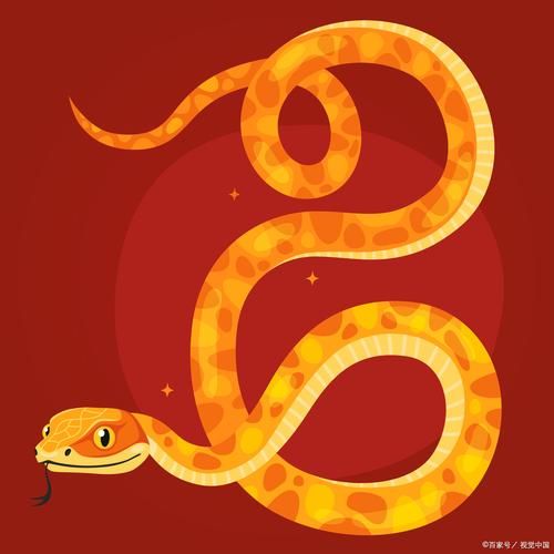 生肖蛇最聪明的属相（生肖蛇最聪明的属相排名表真相）
