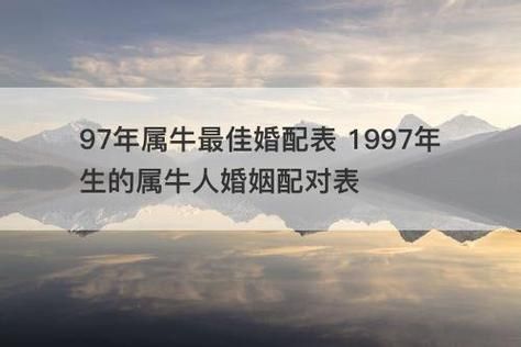 97属什么生肖配偶属相（97年属牛的命中配偶属相是谁）