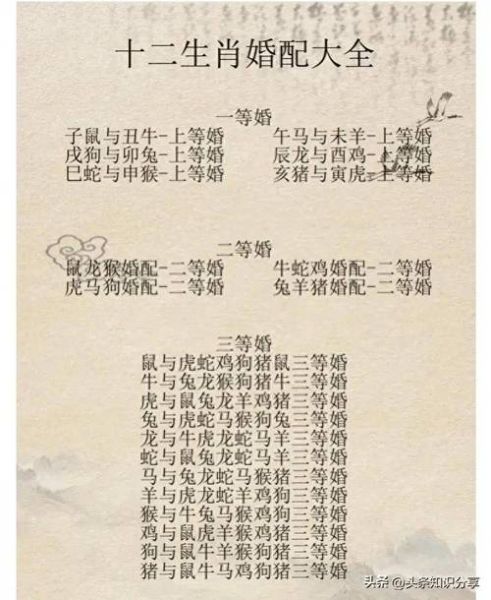 十二生肖属相与婚姻(十二生肖属相与婚姻配对表详解)