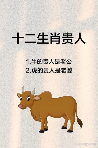 易奇生肖每日贵人属相（易奇生肖今日贵人是谁😍）