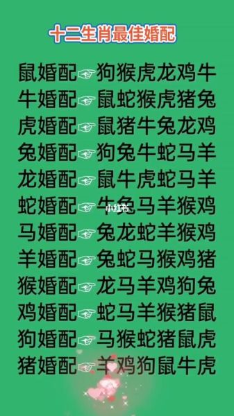 竞选属相才气豪生肖（竞选属相才气豪生肖是哪几个？）
