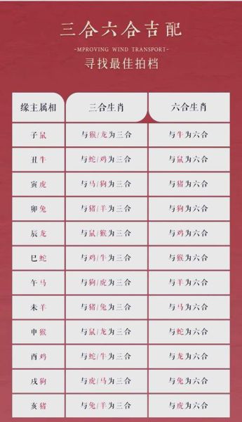 属相合作的生肖（属相合作最旺财运生肖配对）