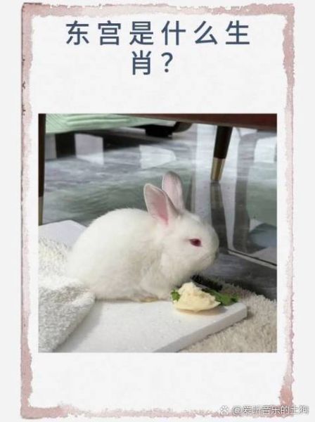 东宫属相哪个生肖