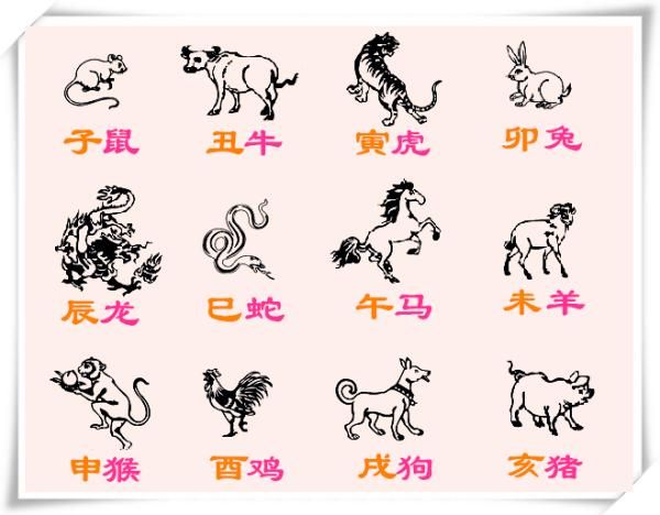 和珅属相是啥生肖啊