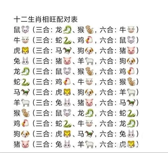 05属什么生肖属相（05属什么生肖）