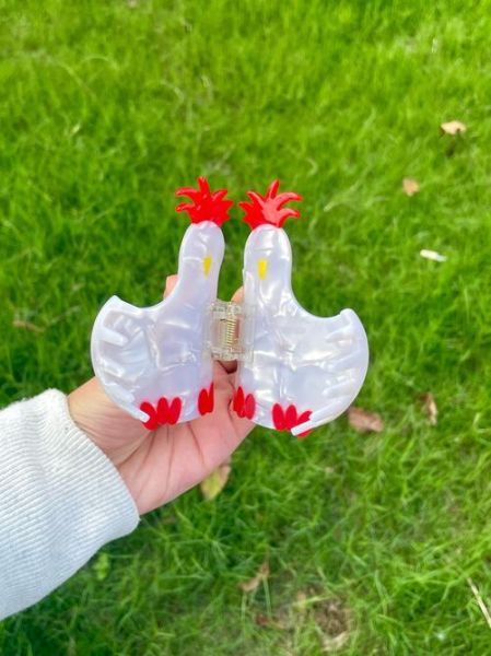 生肖属相抓夹（生肖属相抓夹可爱又招好运？）