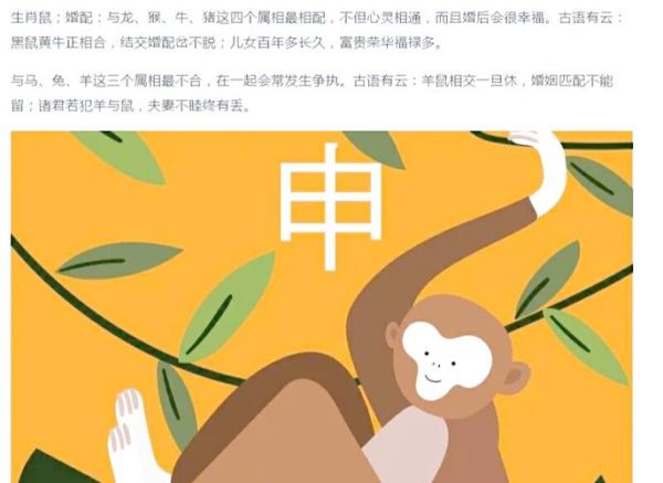 不会动的生肖是哪个属相(不会动的生肖是哪个属相答案详解)