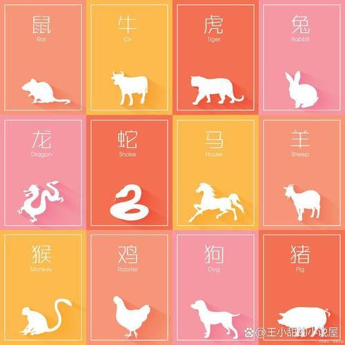 东晋属什么生肖属相（东晋属相是什么生肖？入门一看就懂！）