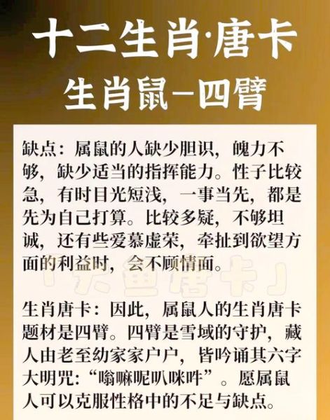 属相鼠怕什么生肖（属相鼠怕什么生肖？新手指南）